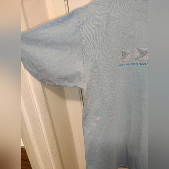 Vintage Gorpcore Shirt Large XL Palm Springs Hummingbirds Nature Distressed Bird - Picture 4 of 12